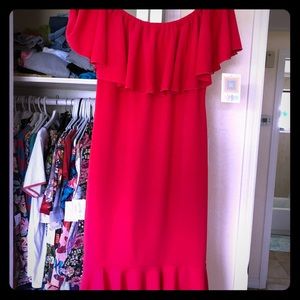 Lularoe Cici Size Xl NWT